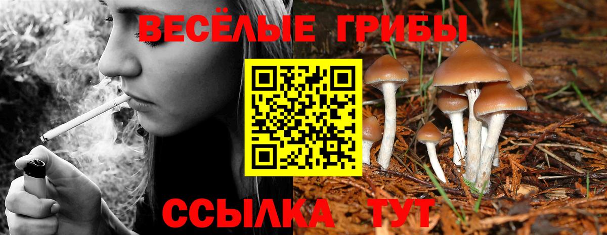 Псилоцибиновые грибы прущие грибы  Вход с VPN  Псилоцибиновые грибы MAGIC MUSHROOMS  Междуреченск 